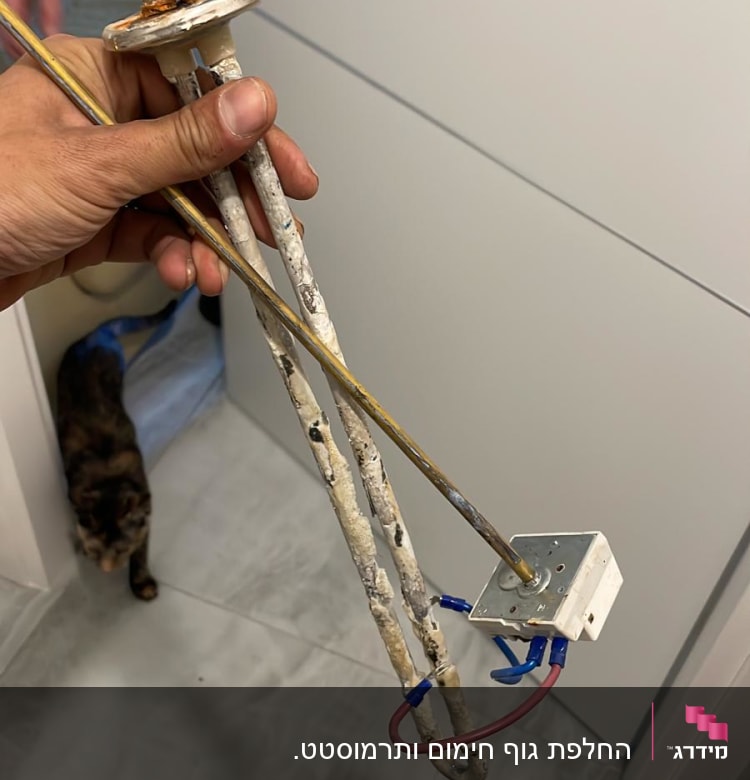 אלמנט חימום של דוד שמש עם חוטי חשמל